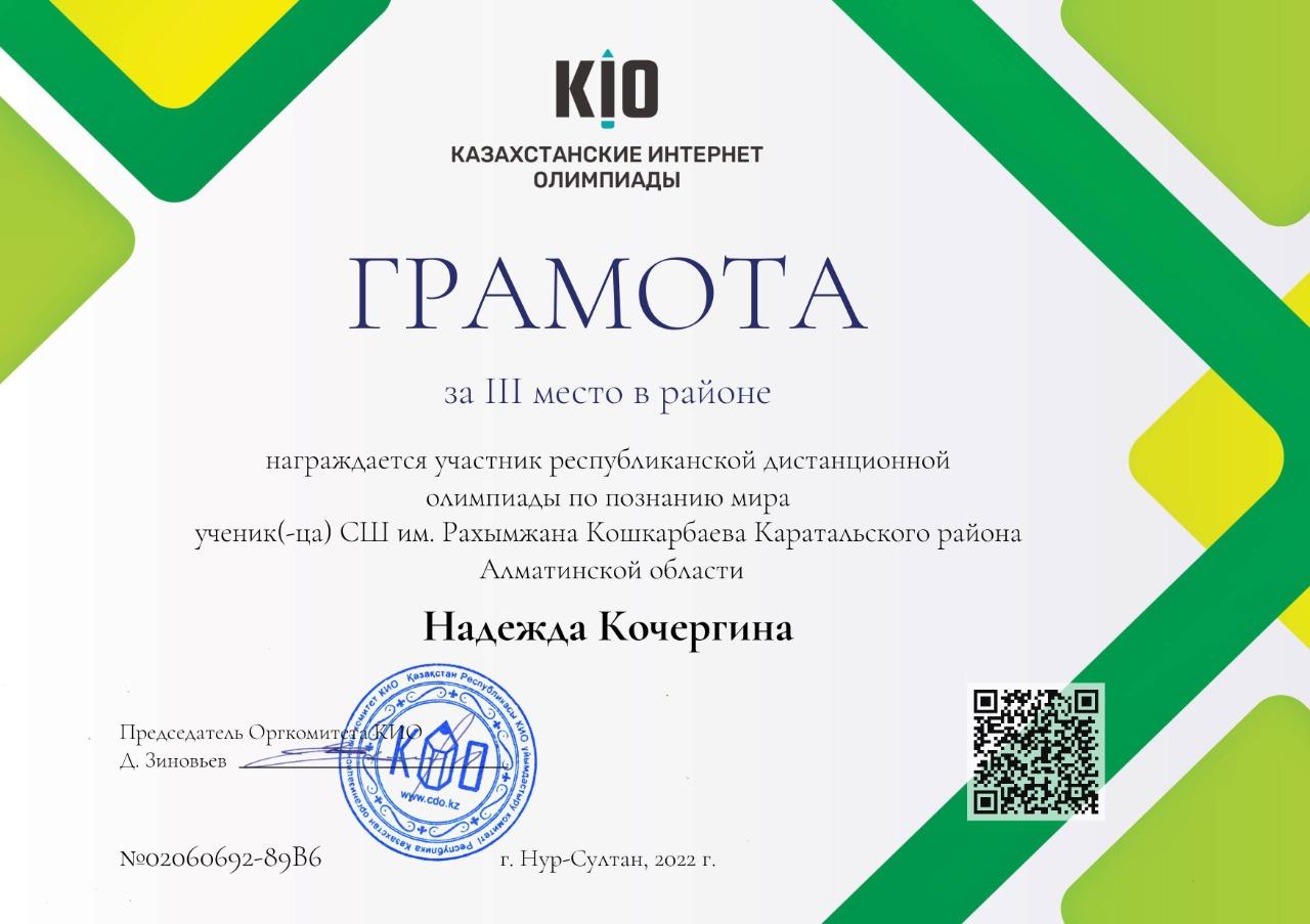 Достижения 3 б класса